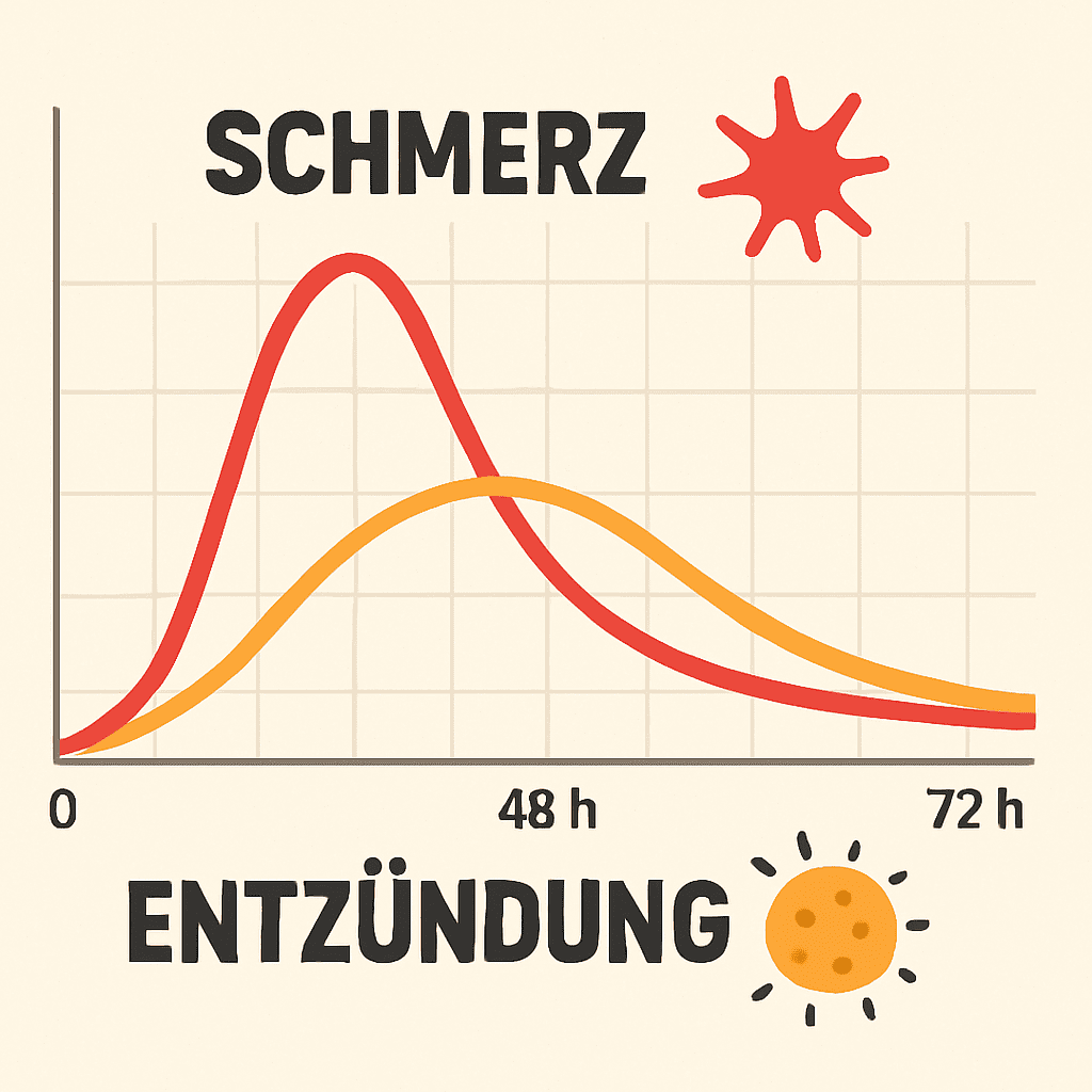 Eine Infografik-Illustration, die den zeitlichen Verlauf von Schmerz und Entzündung über 72 Stunden zeigt (ohne komplexen Text).